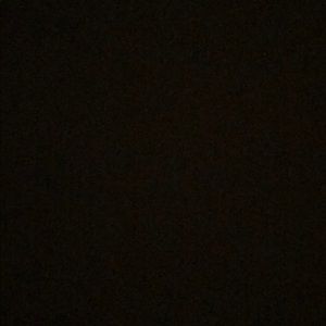 Meet your Posher, Evelyn